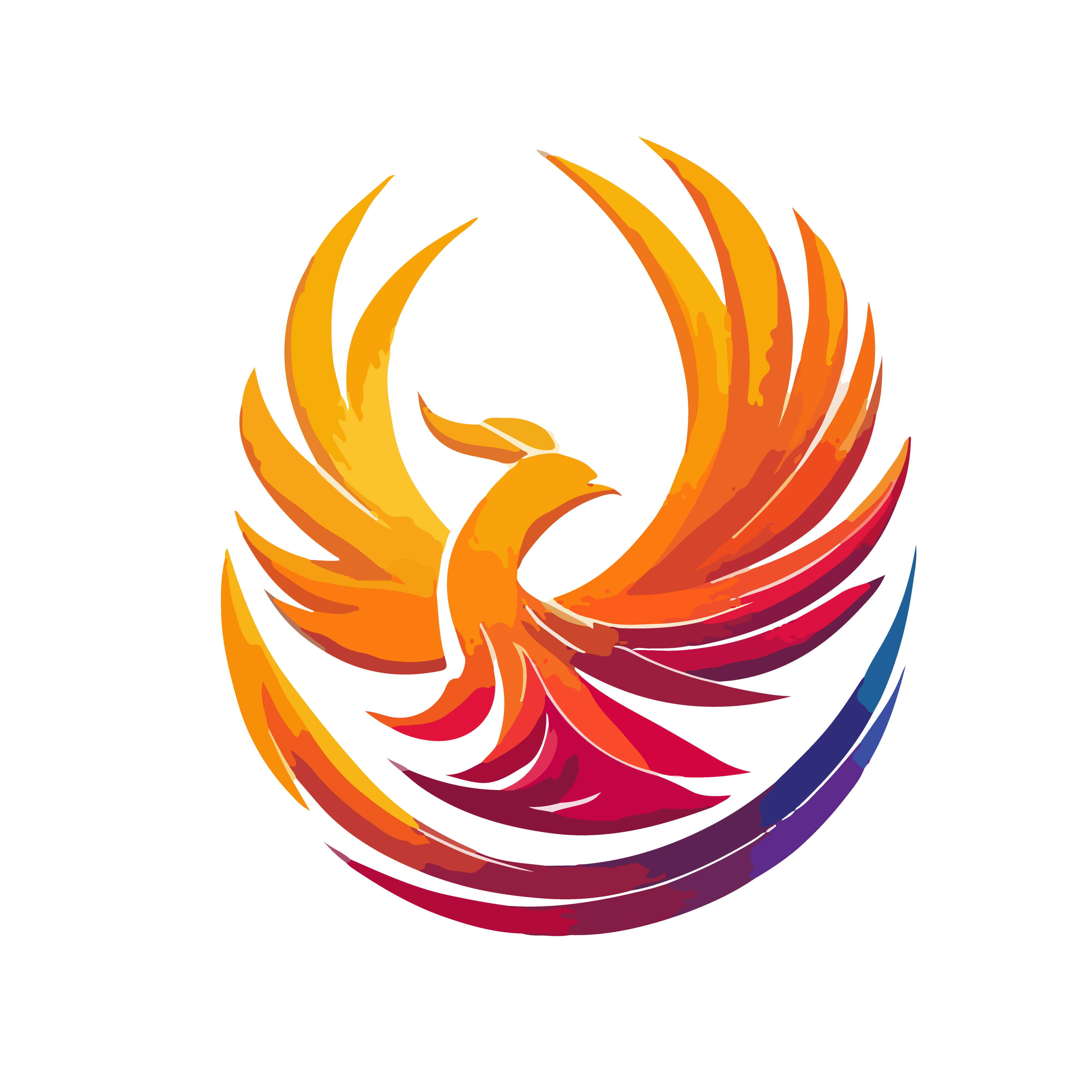 grupo-fenix-resgatando-vidas